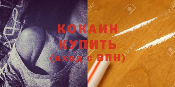 прущий лед Богданович