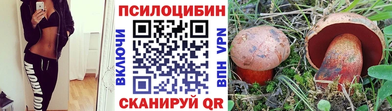 Купить закладки  Мценск  Галлюциногенные грибы Magic Shrooms 